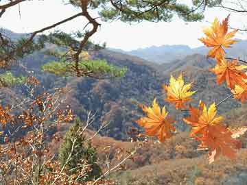 明天鞍山适合穿多少 (今天鞍山温度适合穿啥)